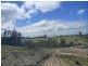 349 Nettlefolds Road, Holwell TAS 7275