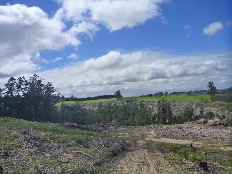 349 Nettlefolds Road, Holwell TAS 7275