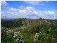 349 Nettlefolds Road, Holwell TAS 7275