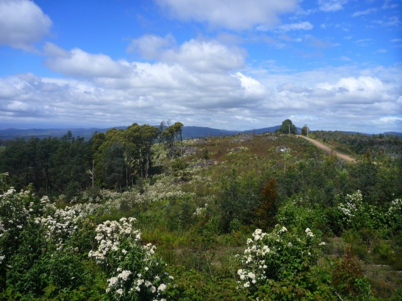 349 Nettlefolds Road, Holwell TAS 7275
