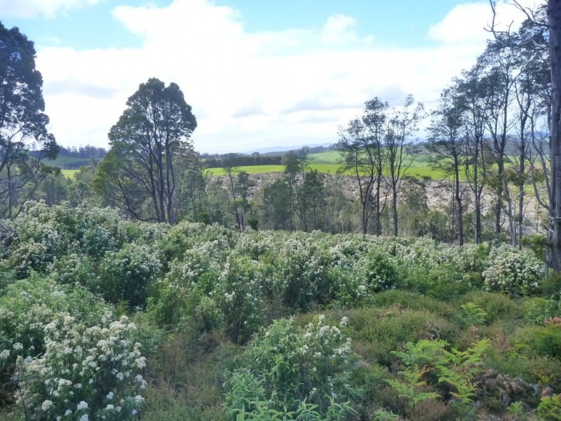 349 Nettlefolds Road, Holwell TAS 7275