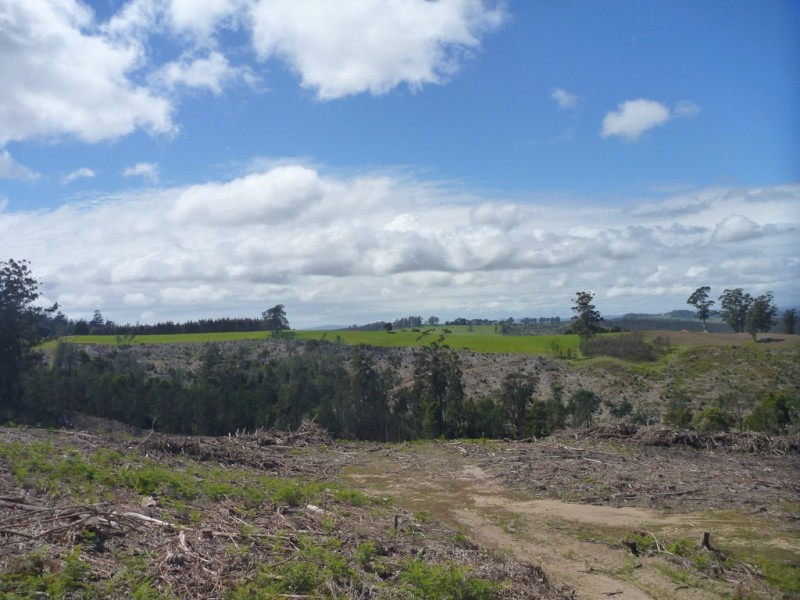 349 Nettlefolds Road, Holwell TAS 7275