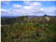 349 Nettlefolds Road, Holwell TAS 7275