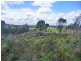 349 Nettlefolds Road, Holwell TAS 7275