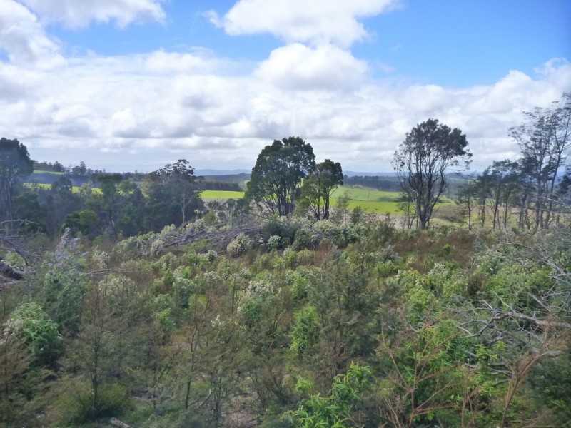 349 Nettlefolds Road, Holwell TAS 7275