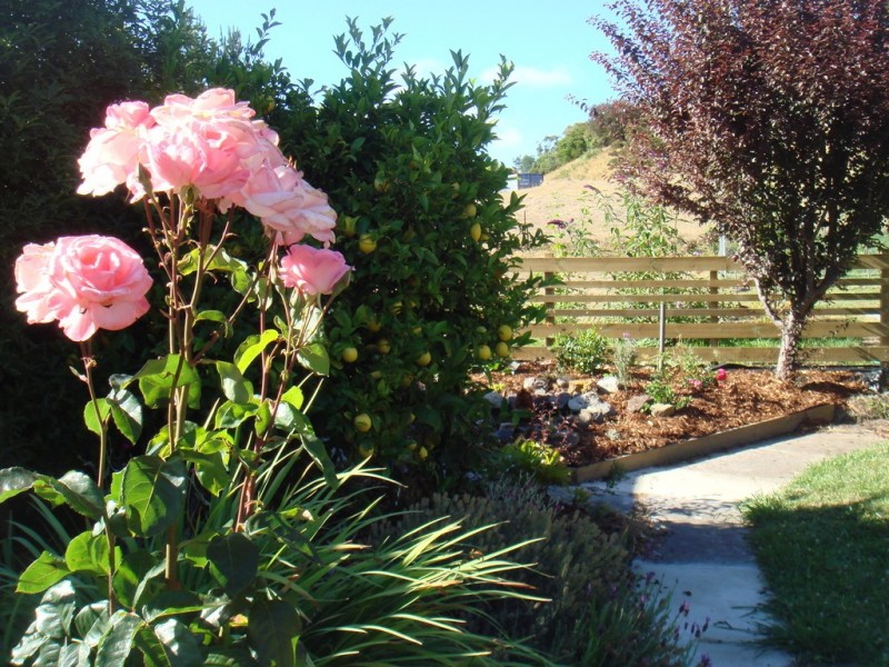 77 Robert Street, Beauty Point TAS 7270