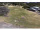 8/7-9 Flinders St, Beauty Point TAS 7270