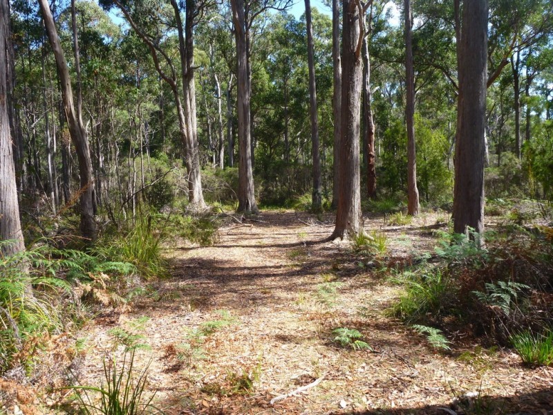236 Long Plains Road, Exeter TAS 7275