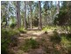 236 Long Plains Road, Exeter TAS 7275