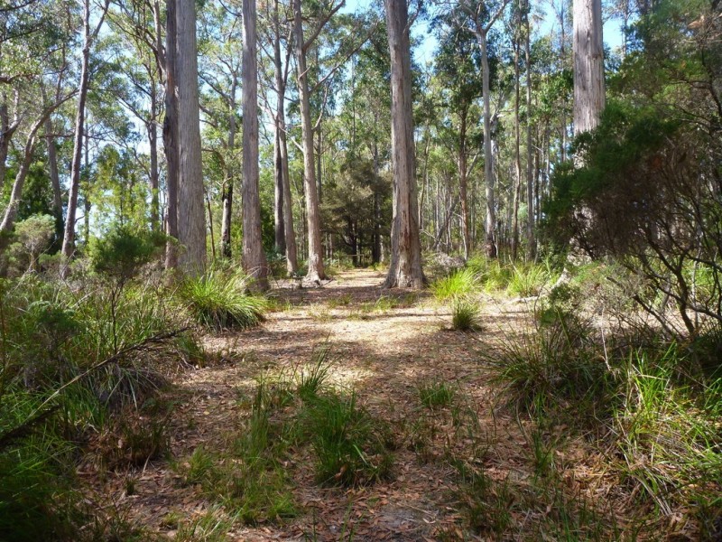 236 Long Plains Road, Exeter TAS 7275