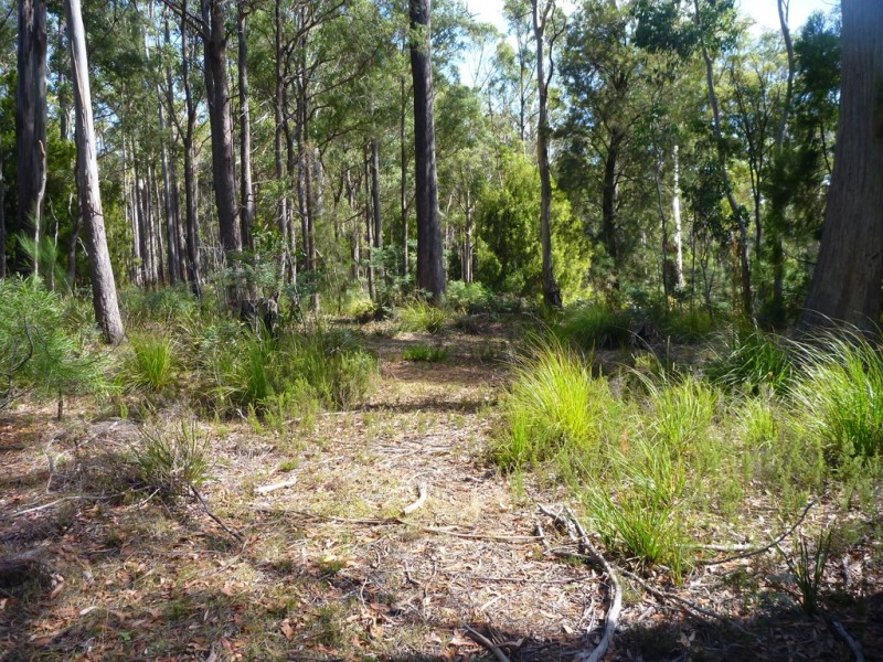 236 Long Plains Road, Exeter TAS 7275