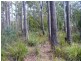 236 Long Plains Road, Exeter TAS 7275