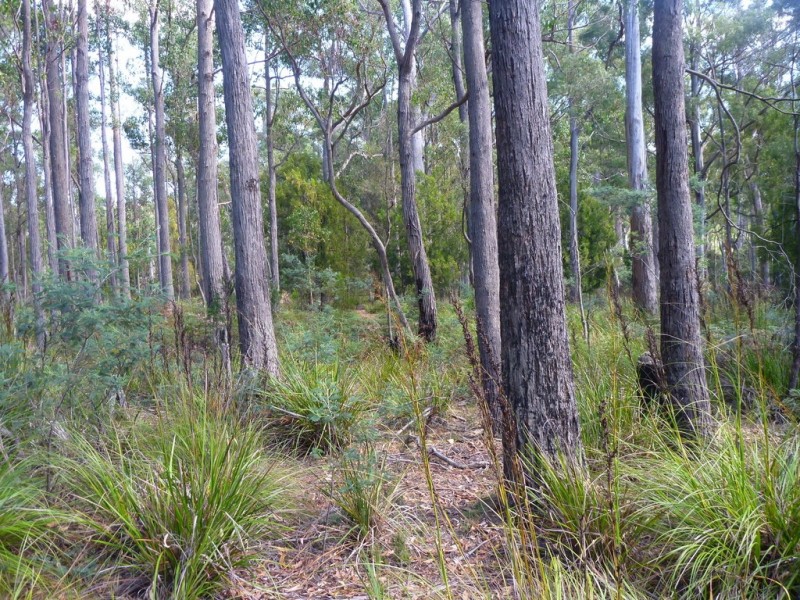236 Long Plains Road, Exeter TAS 7275