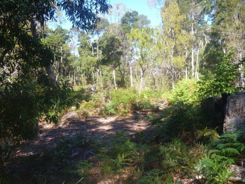 107 Paper Beach Road, Swan Point TAS 7275