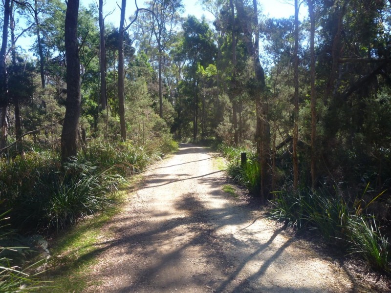 107 Paper Beach Road, Swan Point TAS 7275