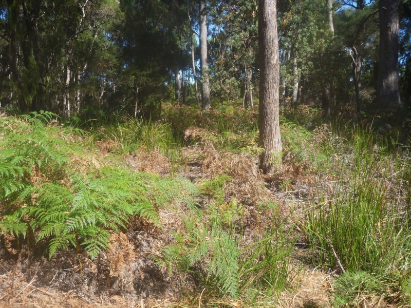 107 Paper Beach Road, Swan Point TAS 7275