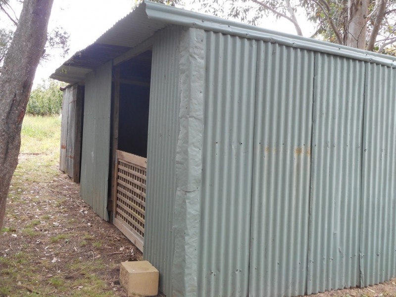 310 Hillwood Road, Hillwood TAS 7252