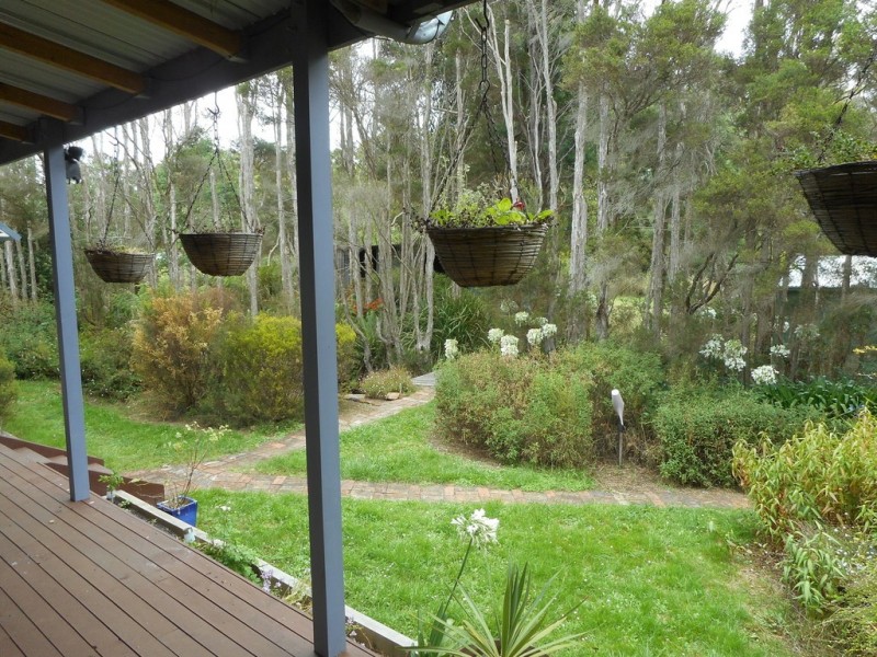 310 Hillwood Road, Hillwood TAS 7252