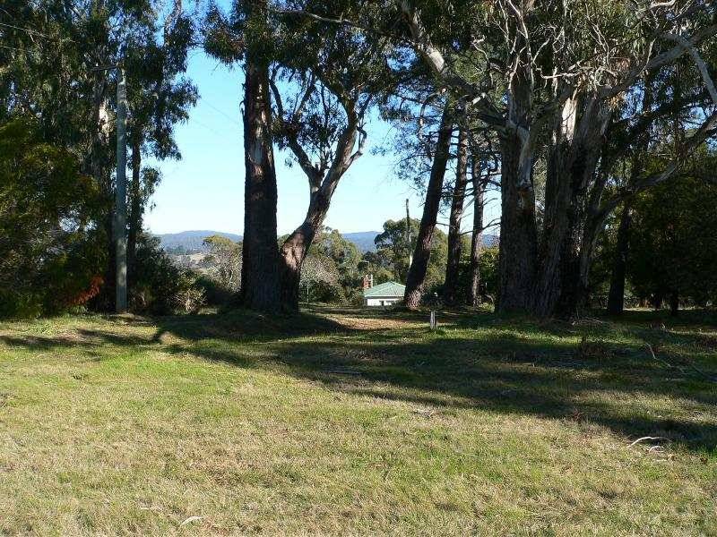 1229 East Tamar Highway, Dilston TAS 7252