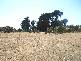 Lot 1 Sunset Boulevard, Clarence Point TAS 7270