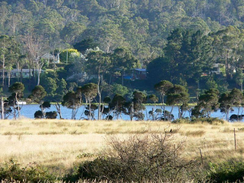 Lot 1 Nobelius Drive, Legana TAS 7277