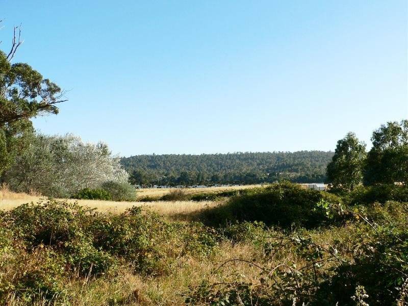 Lot 1 Nobelius Drive, Legana TAS 7277