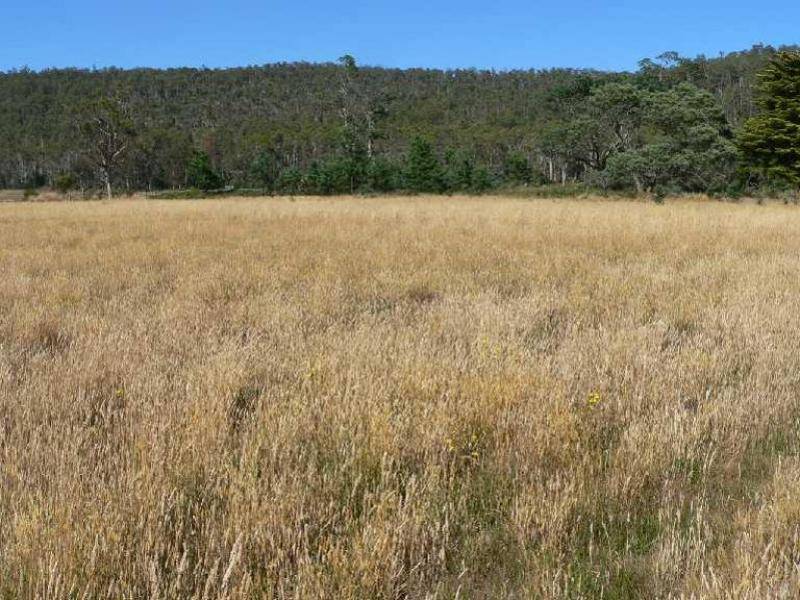 1354 Birralee Road, Birralee TAS 7303