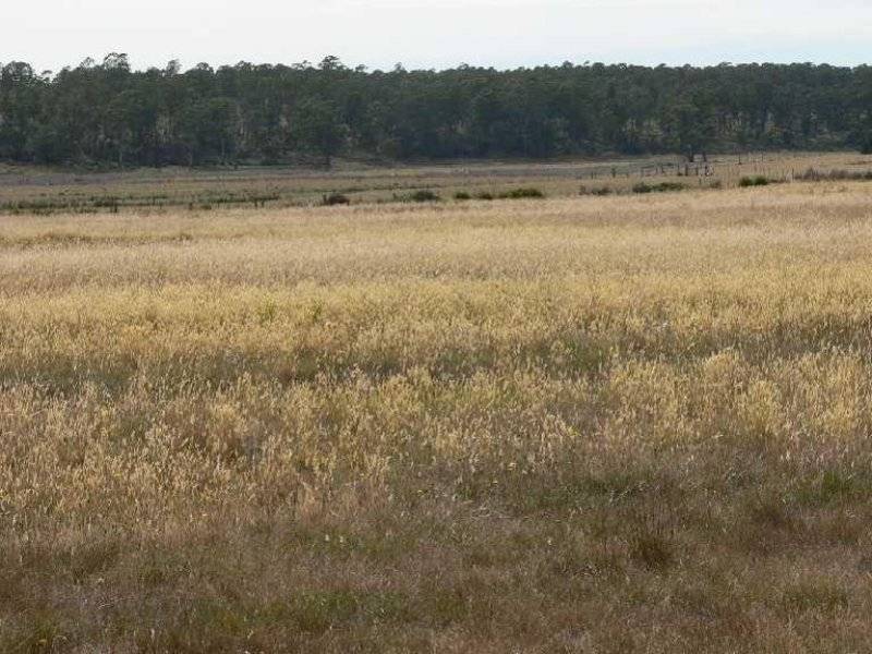 1354 Birralee Road, Birralee TAS 7303