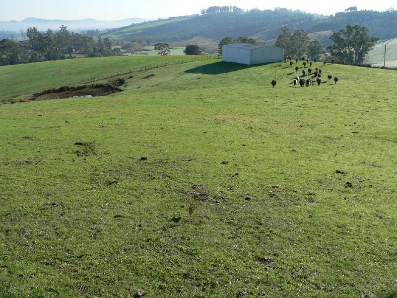Lot 5 Turkey Farm Road (North), Glengarry TAS 7275