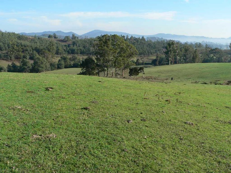 Lot 6 Turkey Farm Road (North), Glengarry TAS 7275