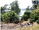 193 Deviot Road, Robigana TAS 7275