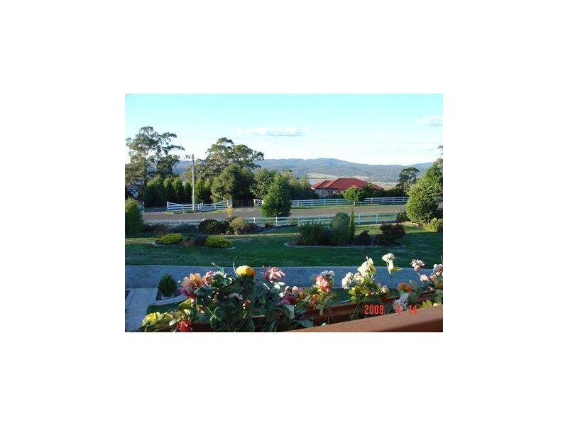 4 Pine Tree Avenue, Grindelwald TAS 7277