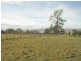 Annears Road, Blackwall TAS 7275