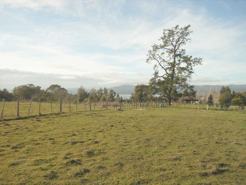 Annears Road, Blackwall TAS 7275
