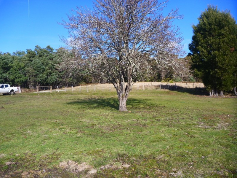 17 Bolton Street, Beaconsfield TAS 7270