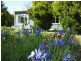 21 Jellico Street, Beauty Point TAS 7270