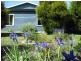 21 Jellico Street, Beauty Point TAS 7270