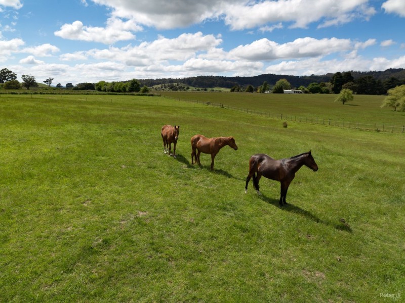 111 Loop Road, Glengarry TAS 7275