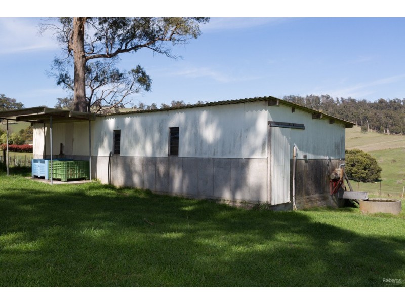 195 Los Angelos Road, Swan Bay TAS 7252