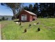 280 Windermere Road, Windermere TAS 7252