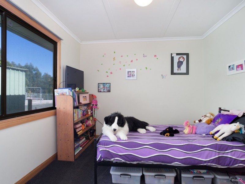 67 Blackberrys Road, Glengarry TAS 7275