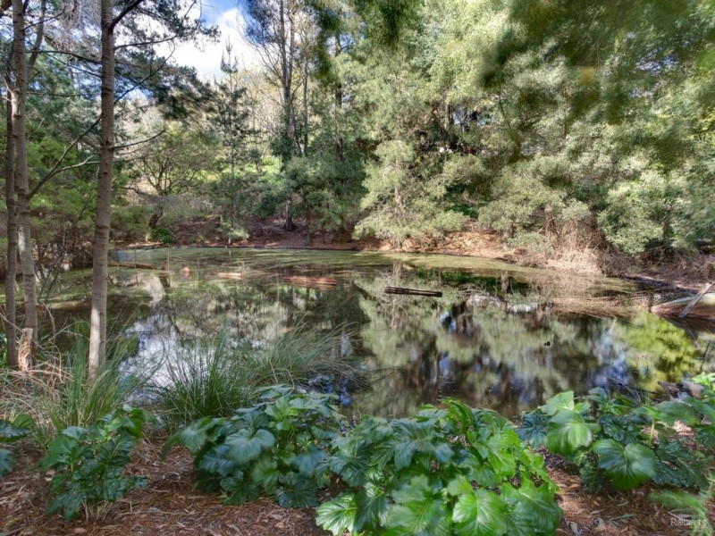 67 Blackberrys Road, Glengarry TAS 7275