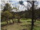 67 Blackberrys Road, Glengarry TAS 7275