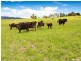 Lot 1, 42 Clarence Point Rd, Clarence Point TAS 7270