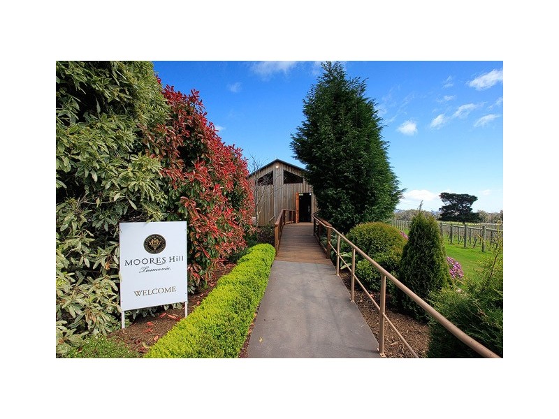 3343 West Tamar Highway, Sidmouth TAS 7270