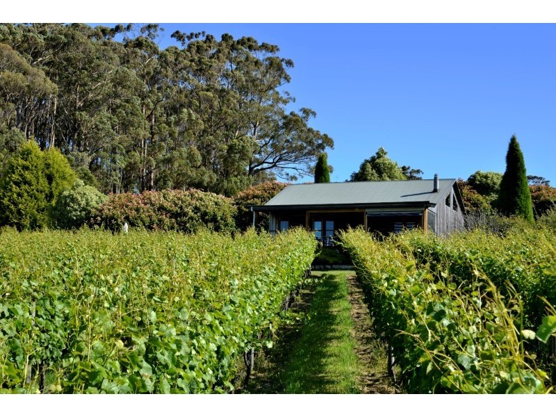 3343 West Tamar Highway, Sidmouth TAS 7270