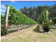 3343 West Tamar Highway, Sidmouth TAS 7270