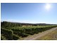 3343 West Tamar Highway, Sidmouth TAS 7270