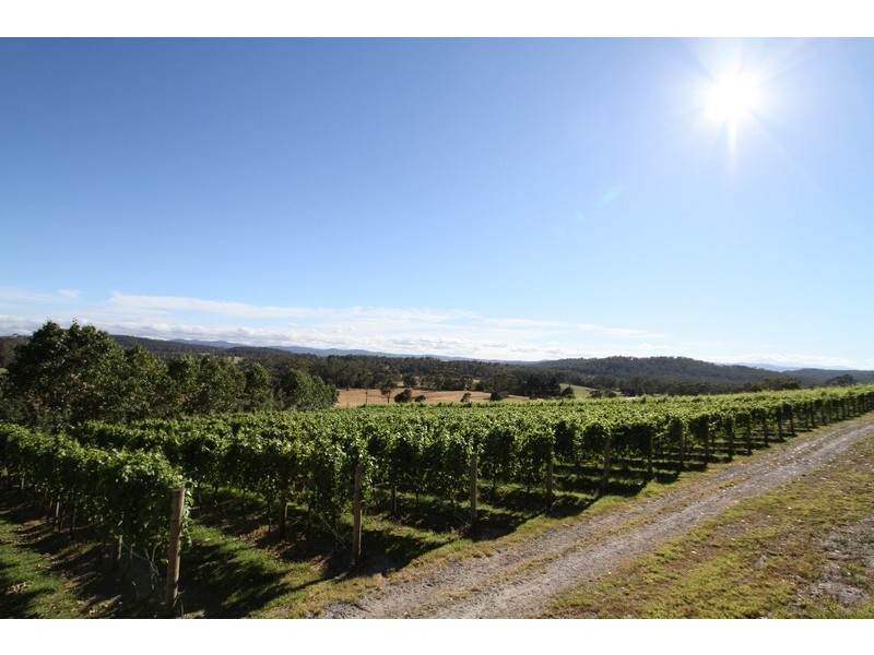 3343 West Tamar Highway, Sidmouth TAS 7270