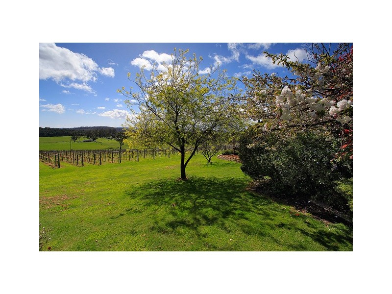 3343 West Tamar Highway, Sidmouth TAS 7270